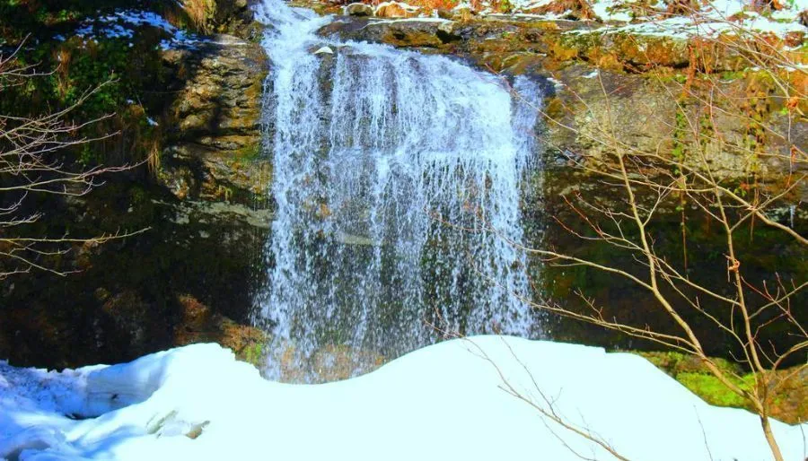 Oasis — Photo 8