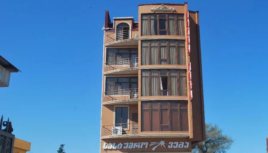 ვეგა — ფოტო 3