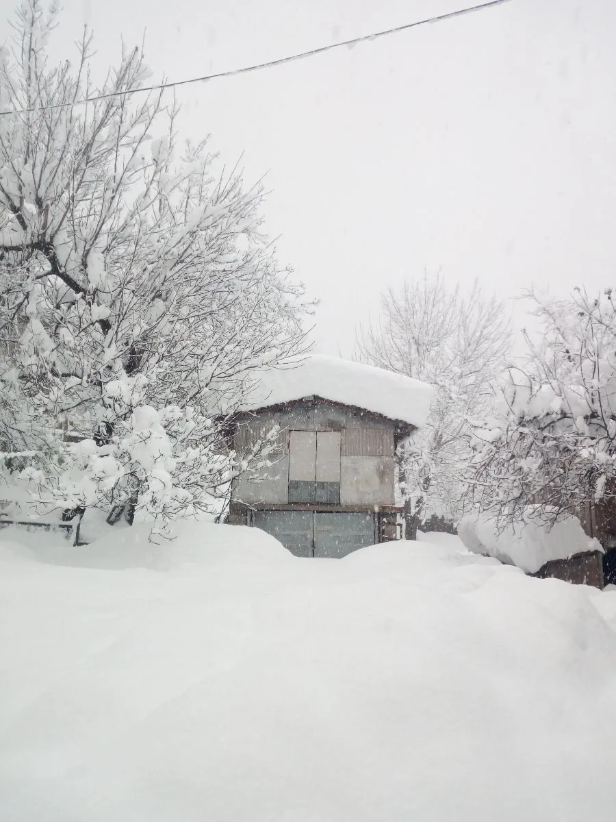 Guesthouse Vashlovani — Photo 10
