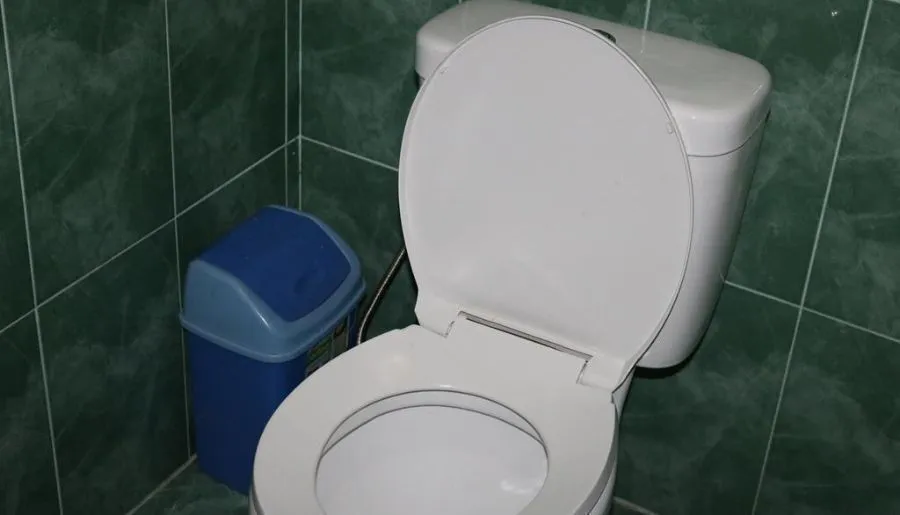 ვაშლოვანი — ფოტო 36