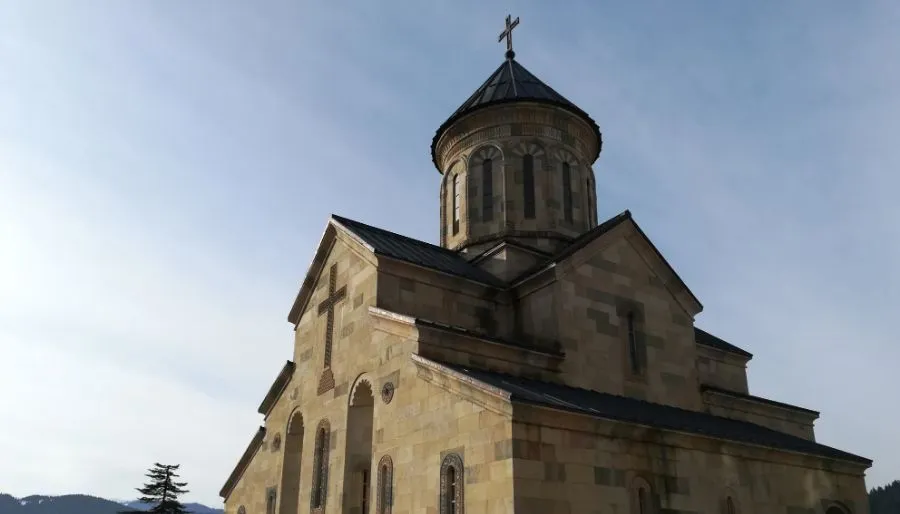 ვაშლოვანი — ფოტო 23