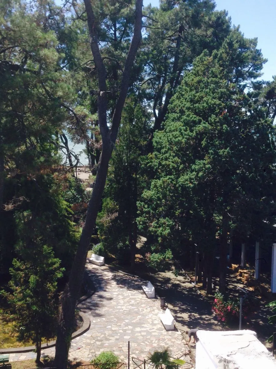 Guest house 424 — Photo 4