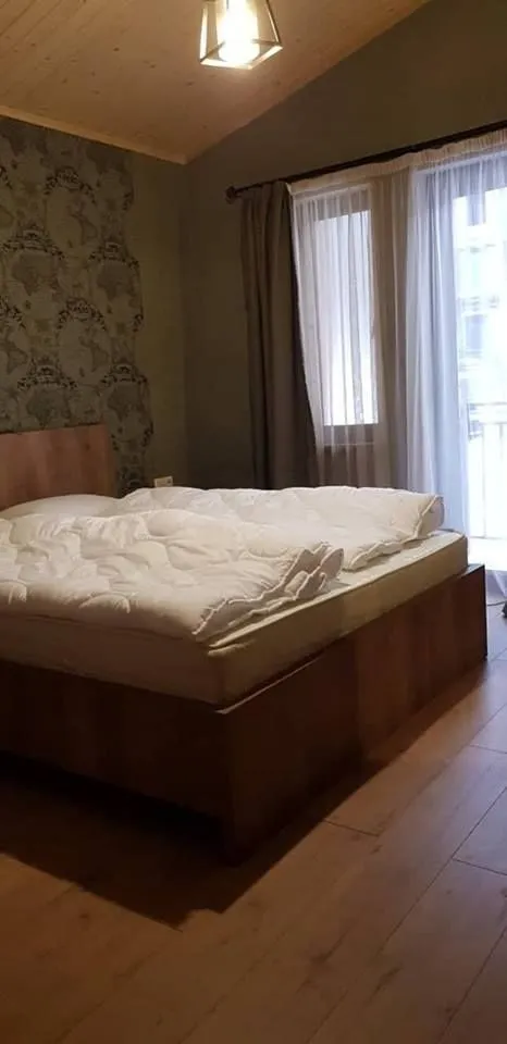 კოხტა ბაკურიანი — ფოტო 17