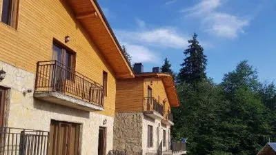 კოხტა ბაკურიანი — ფოტო 11
