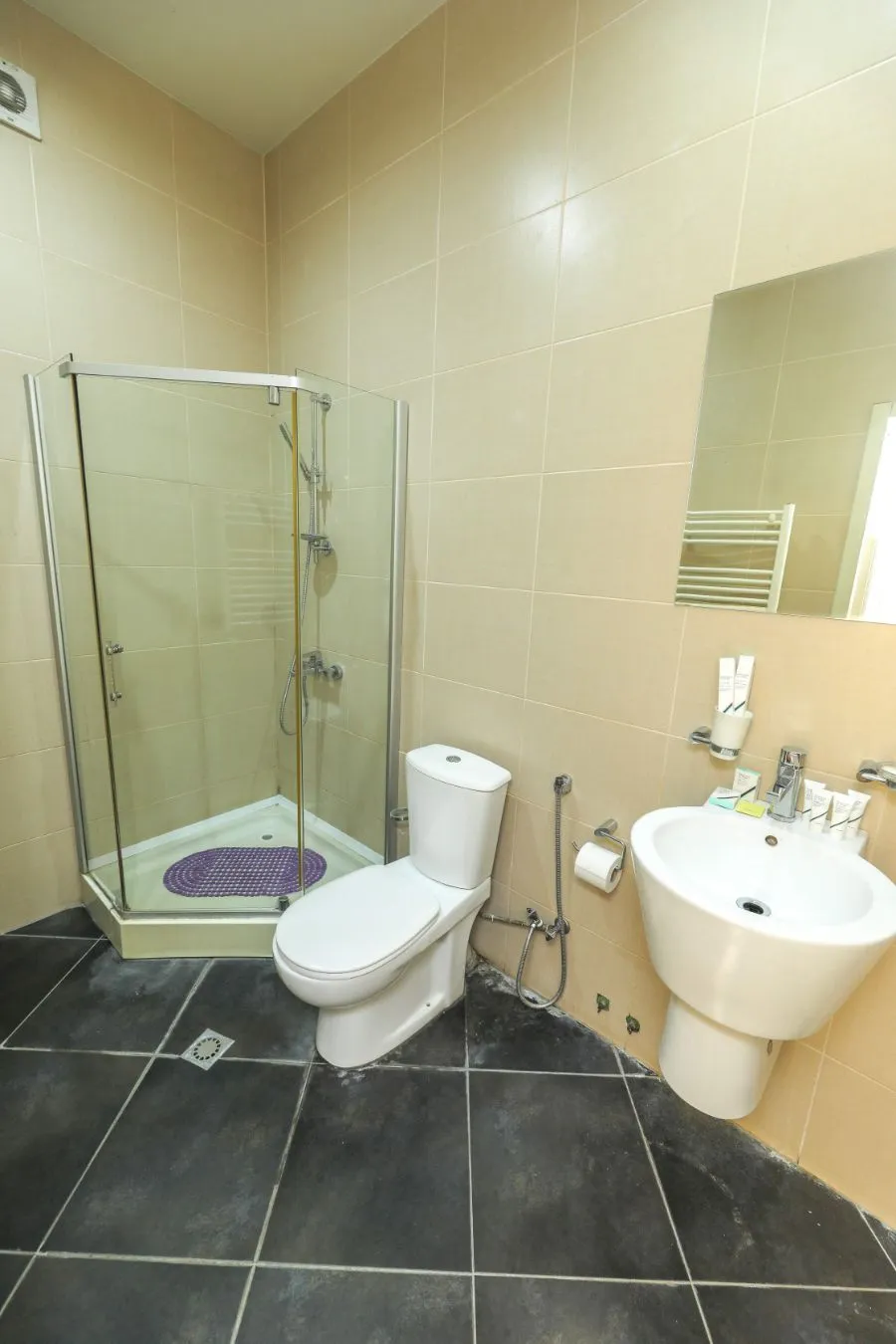 Eurasia Bridge Hotel — Photo 21