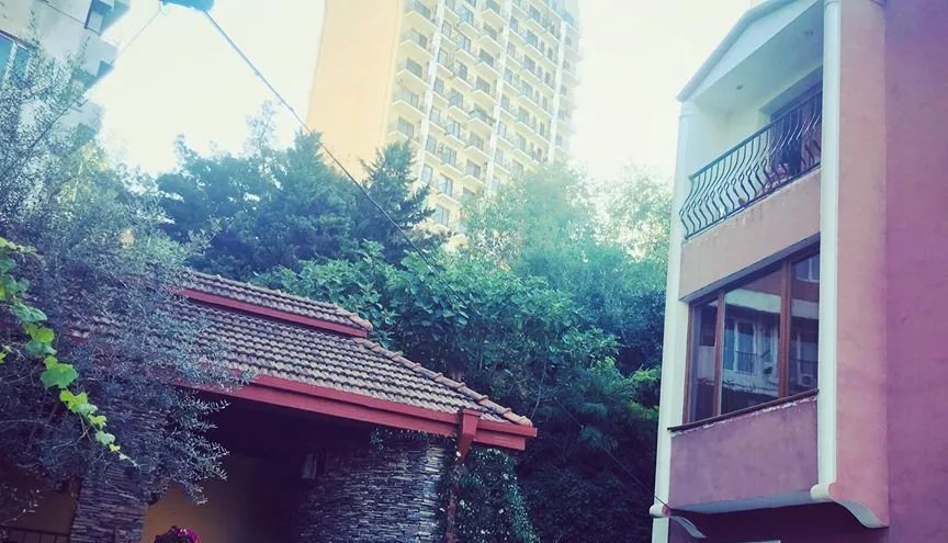 GOT — Photo 37