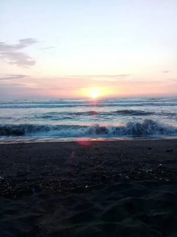 ლალი — ფოტო 26