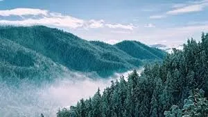 სა-ნი — ფოტო 6