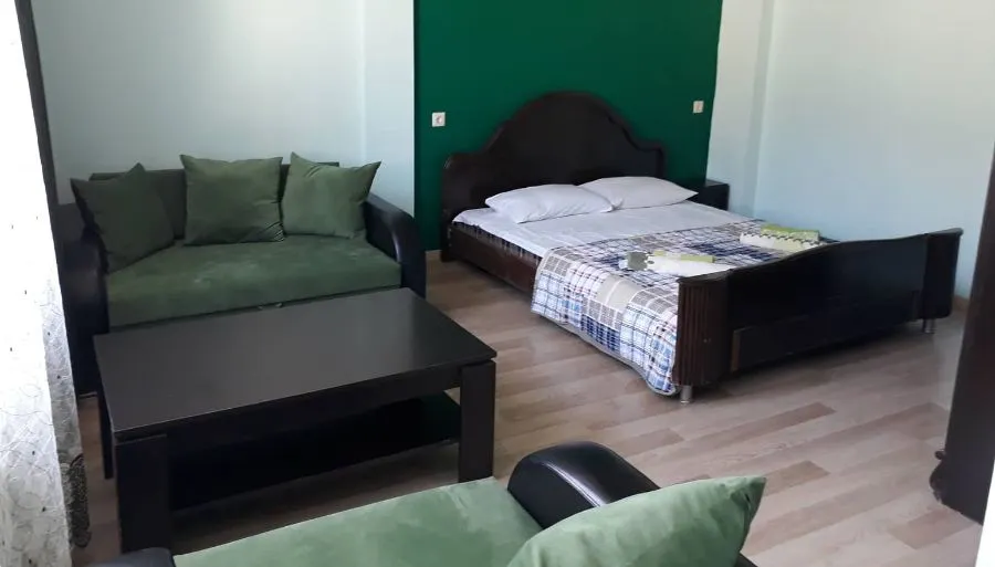 Guest house DIDEBULI — ფოტო 18