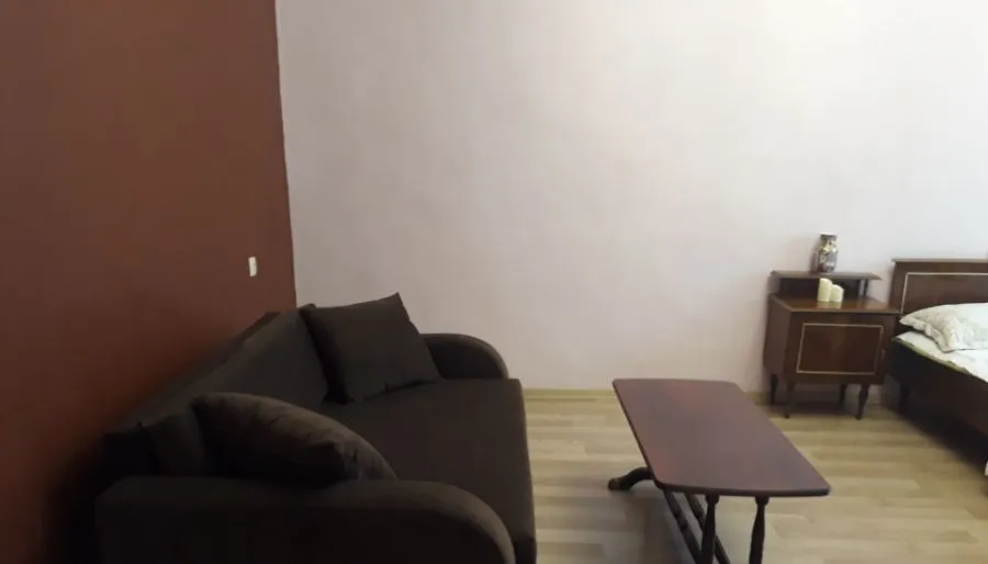 Guest house DIDEBULI — ფოტო 14
