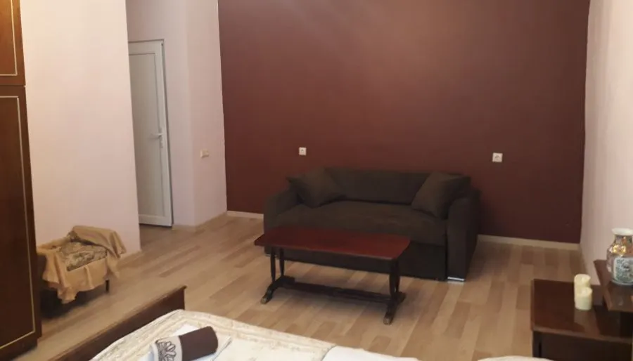 Guest house DIDEBULI — ფოტო 21