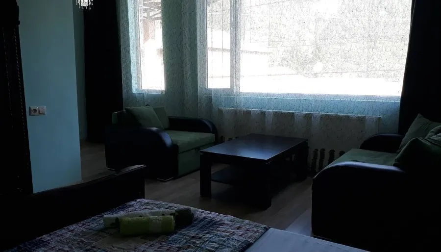 Guest house DIDEBULI — ფოტო 15