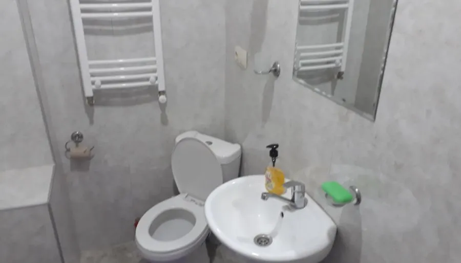 Guest house DIDEBULI — ფოტო 22