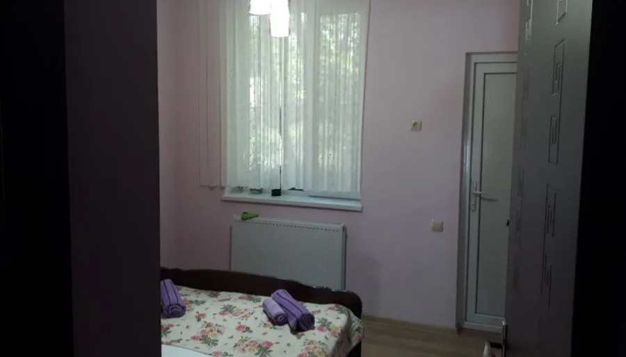 Guest house DIDEBULI — ფოტო 26