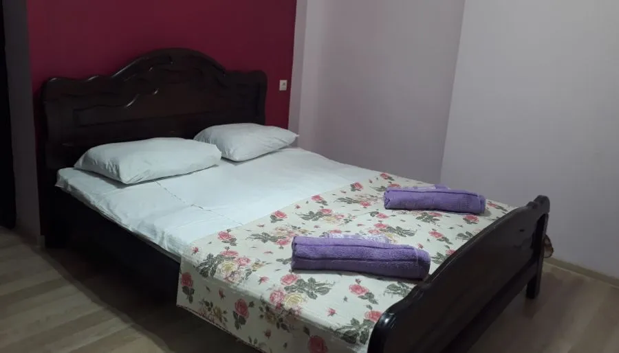 Guest house DIDEBULI — ფოტო 23