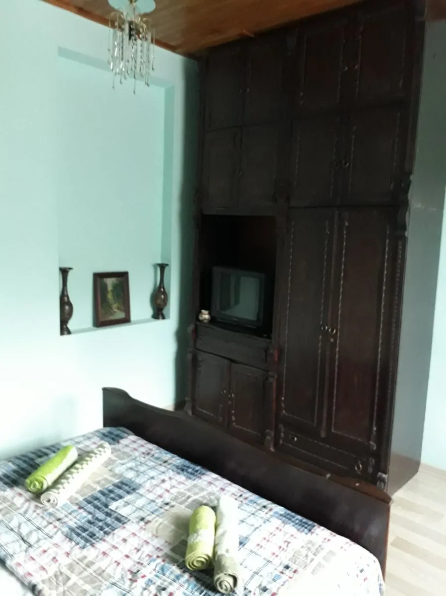 Guest house DIDEBULI — ფოტო 25