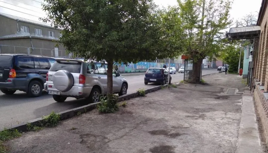 ინსომნია — ფოტო 13