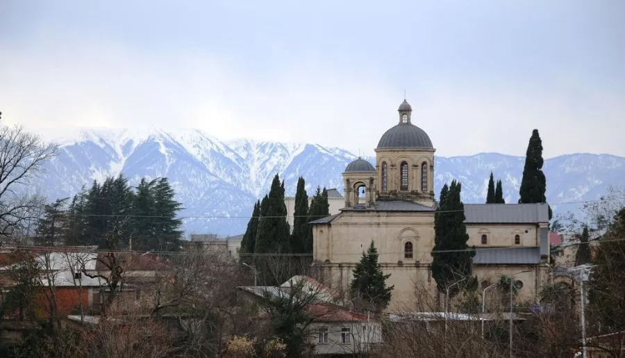 მიმინო — ფოტო 34