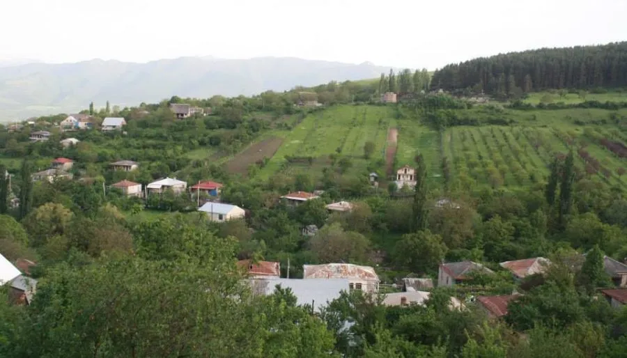 კიდობანი — ფოტო 10