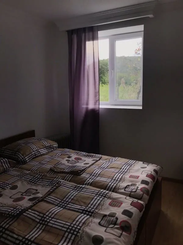 ბიენვენუ — ფოტო 47