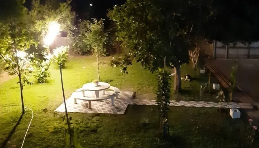 ბიენვენუ — ფოტო 18