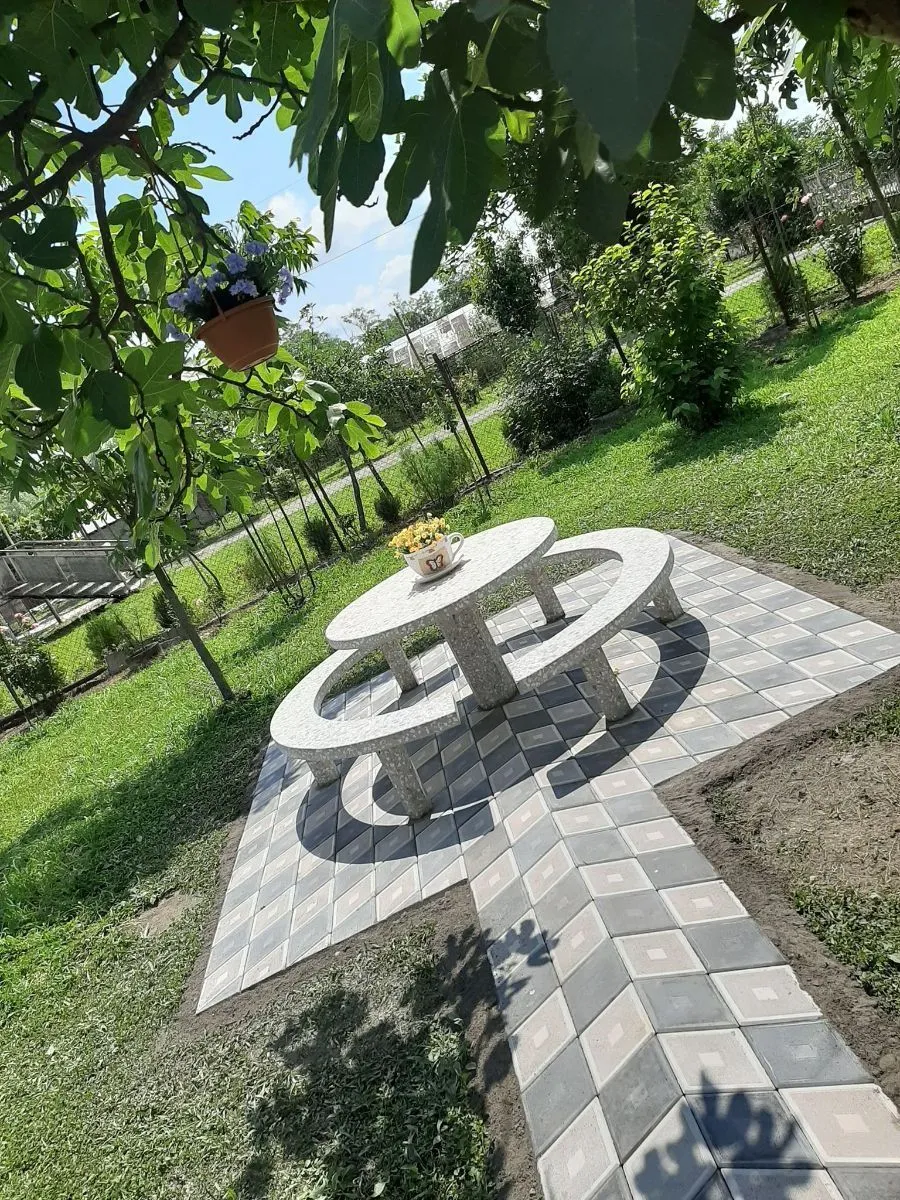 ბიენვენუ — ფოტო 30