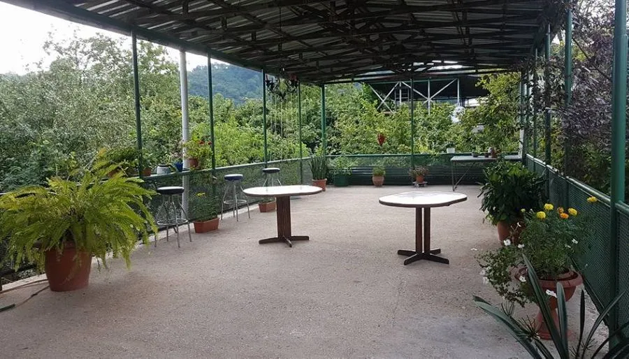 Guest House on Kiacheli — Photo 10