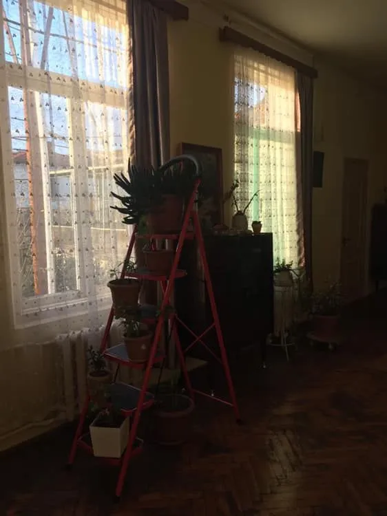 Guest House on Kiacheli — Photo 1