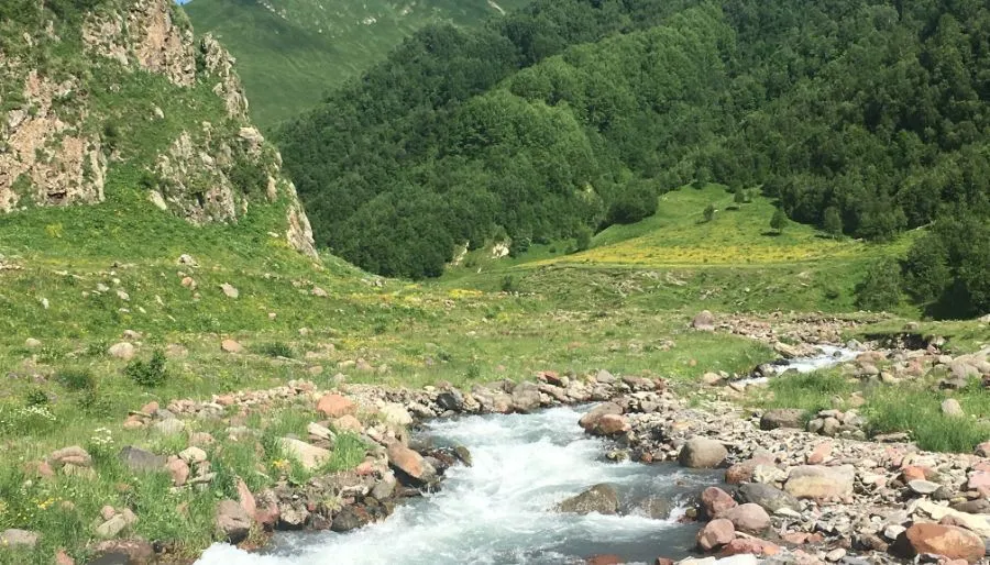 კობი ჰაუს — ფოტო 6