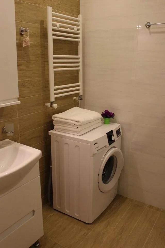 Lizi's Cozy Apartment in Bakuruani — Photo 11