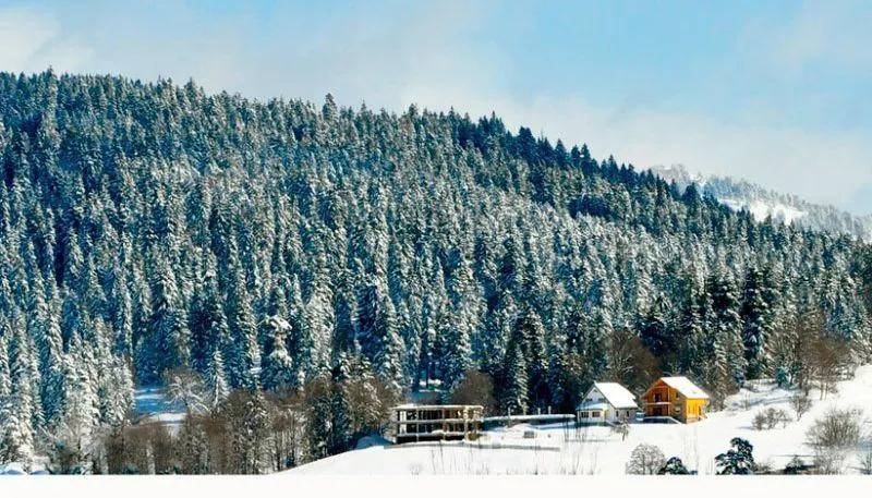 Cottage Bakuriani Kokhta — Photo 1
