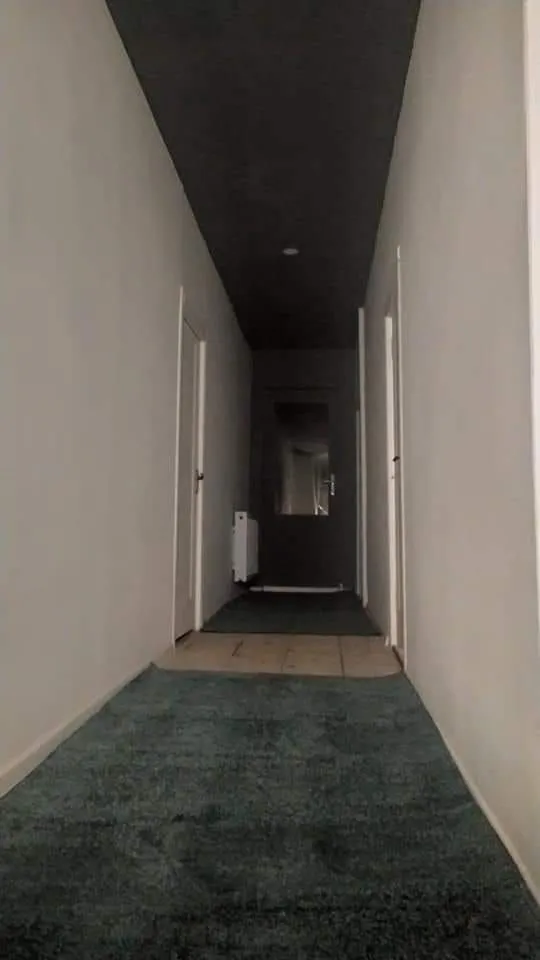 Nest — Photo 1