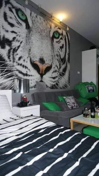 White tiger in new Gudauri II — Photo 23