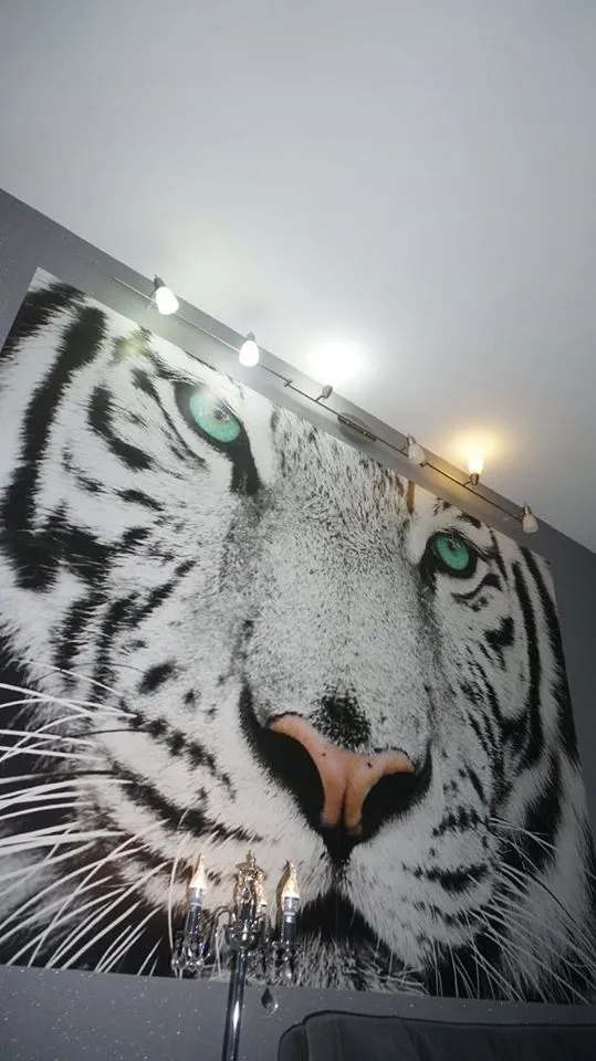 White tiger in new Gudauri II — Photo 42