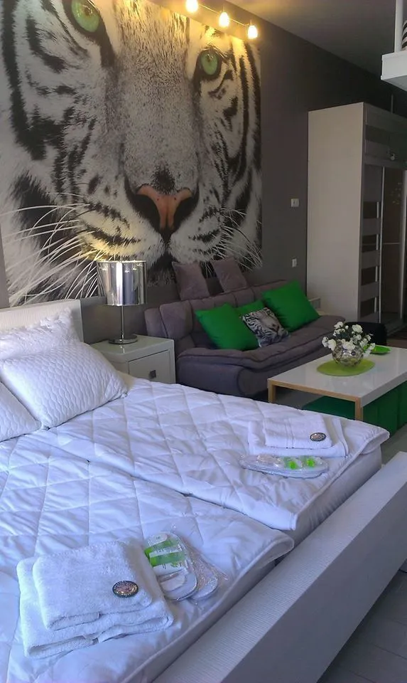 White tiger in new Gudauri II — Photo 38