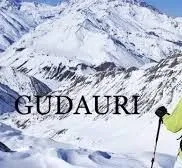 White tiger in new Gudauri II — Photo 10