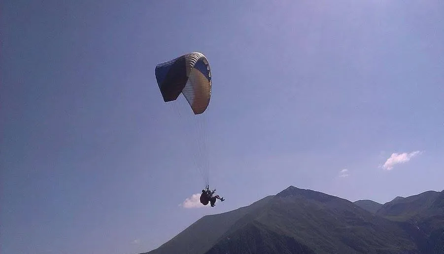White tiger in new Gudauri II — Photo 9