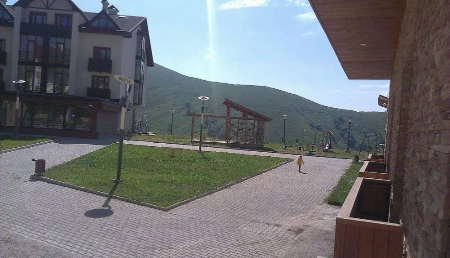 White tiger in new Gudauri II — Photo 11