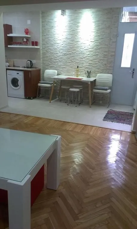 White tiger in  center Tbilisi — ფოტო 9