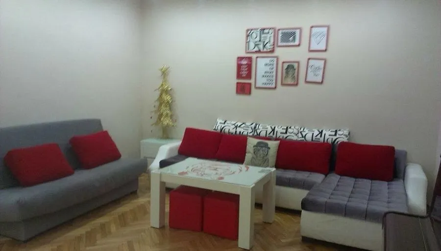 White tiger in  center Tbilisi — ფოტო 25