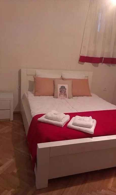 White tiger in  center Tbilisi — ფოტო 26