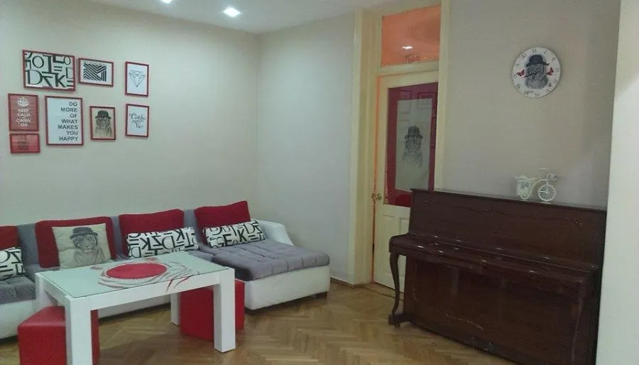 White tiger in  center Tbilisi — ფოტო 12