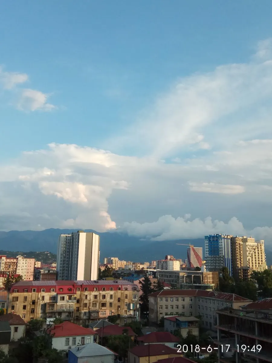 SOFIA — ფოტო 5
