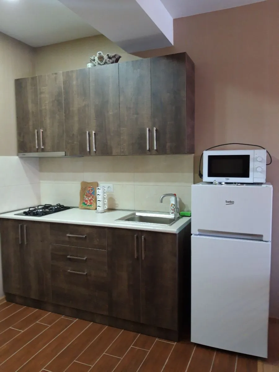 Bakuriani Residence Apt 31 — Photo 17