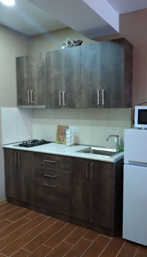 Bakuriani Residence Apt 31 — Photo 24