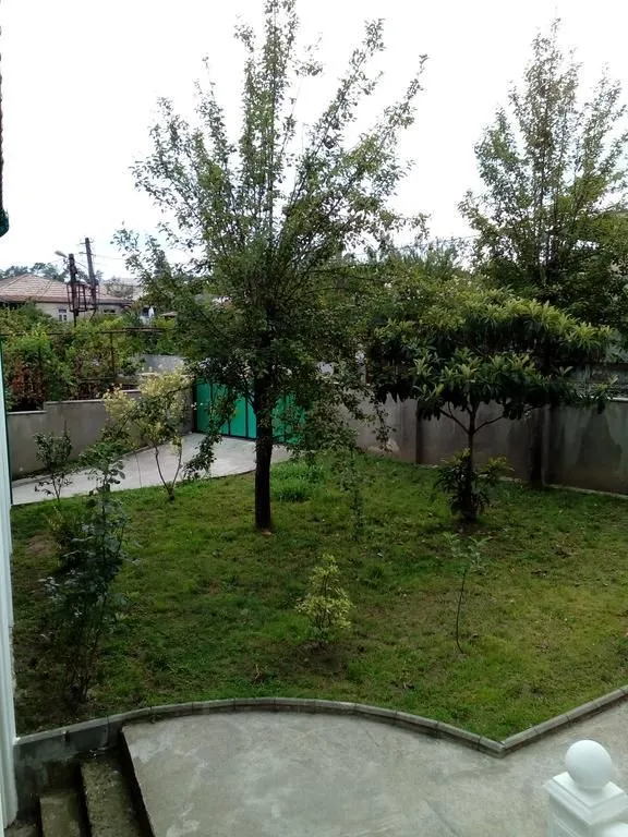 Guest house and apartment Mirian Mepe — Photo 3
