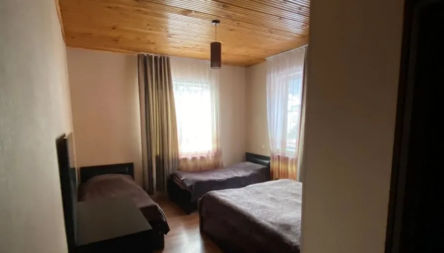Guest house on Tamar Mepe — ფოტო 13