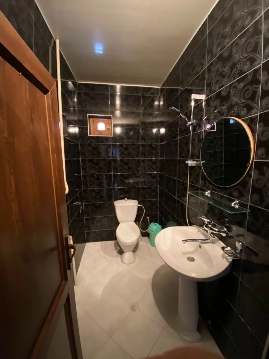 Guest house on Tamar Mepe — ფოტო 8
