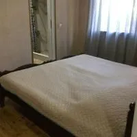 Agmashenebeli N229 — Photo 44