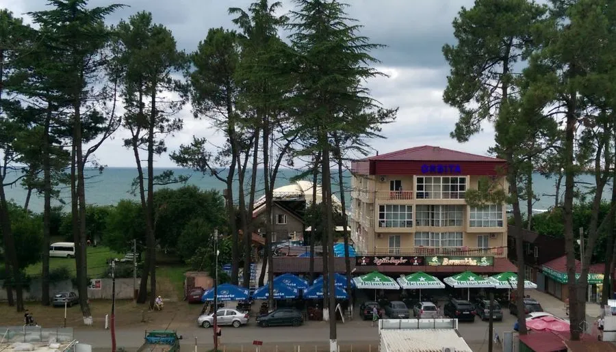 დავითი — ფოტო 19